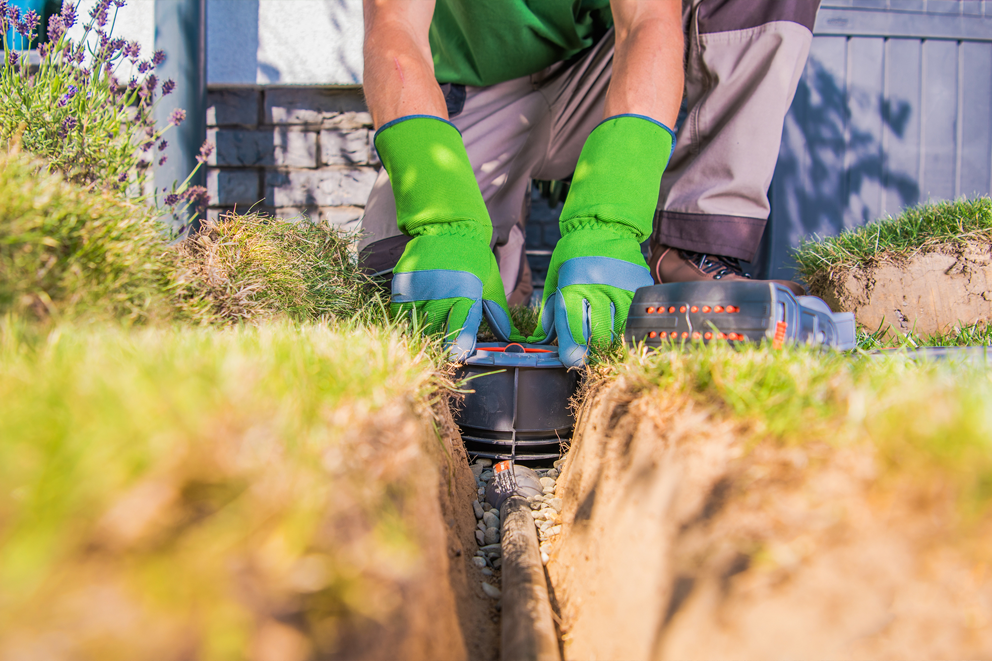 Gardener installing an irrigation system in between cracks on soil