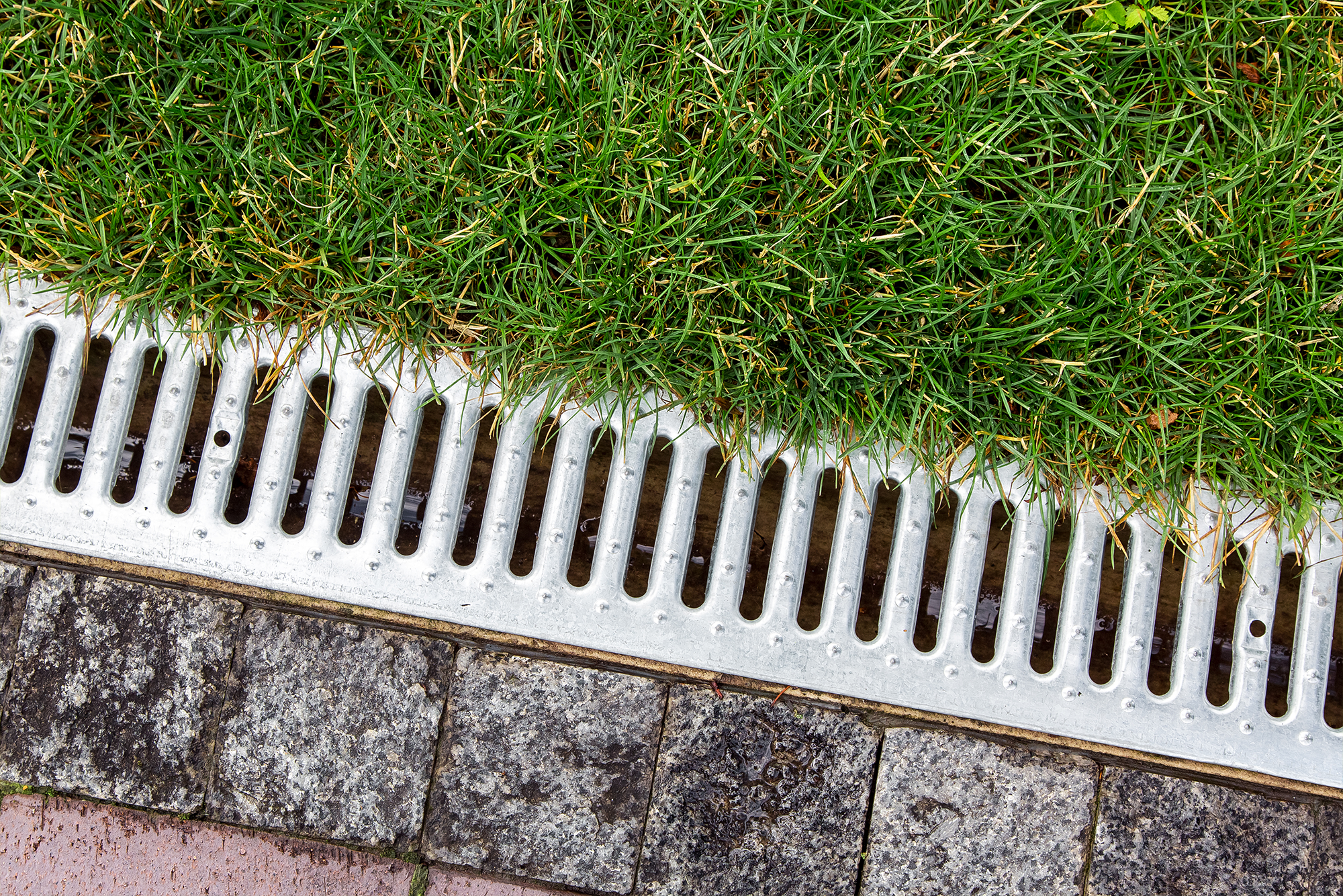 Iron grate of a storm drainage system on the side of a footpath made of pavers near a green lawn top view with rain water