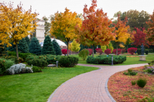 autumnal lawn with Cobblestone pathways and colorful trees.