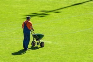 Groundsman spreading fertilizer for grass on a football pitch