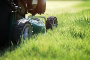 Lawn mower mowing or cutting long grass with a green lawn mower in the summer sun