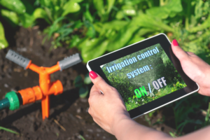 woman holding a tablet that displays the controls for a smart irrigation system, there is an orange sprinkler in front of her