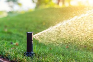 irrigating lawn sprinkler