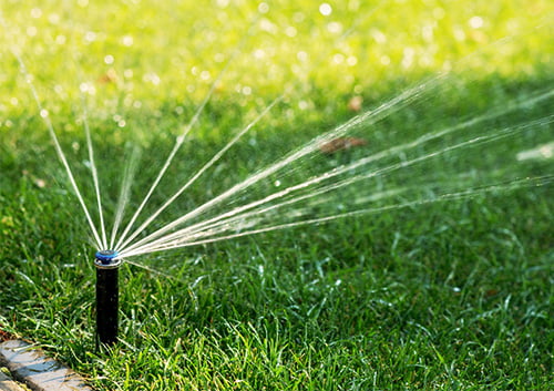 Automatic sprinkler watering green lawn