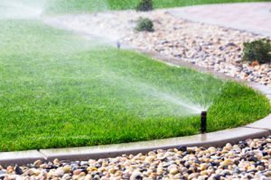 Automatic sprinkler watering grass