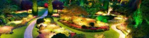 Colorful garden with lights at night time