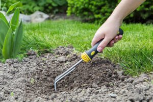 Gardener preparing the soil of plant bed