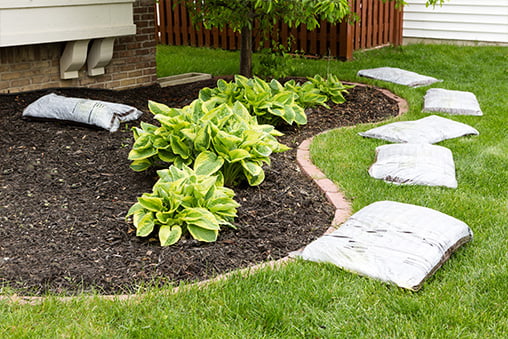 Row of commercial organic mulch in bags laid around the edge of a flowerbed on a neatly manicured green lawn
