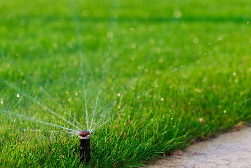 Water efficient sprinkler watering a lawn